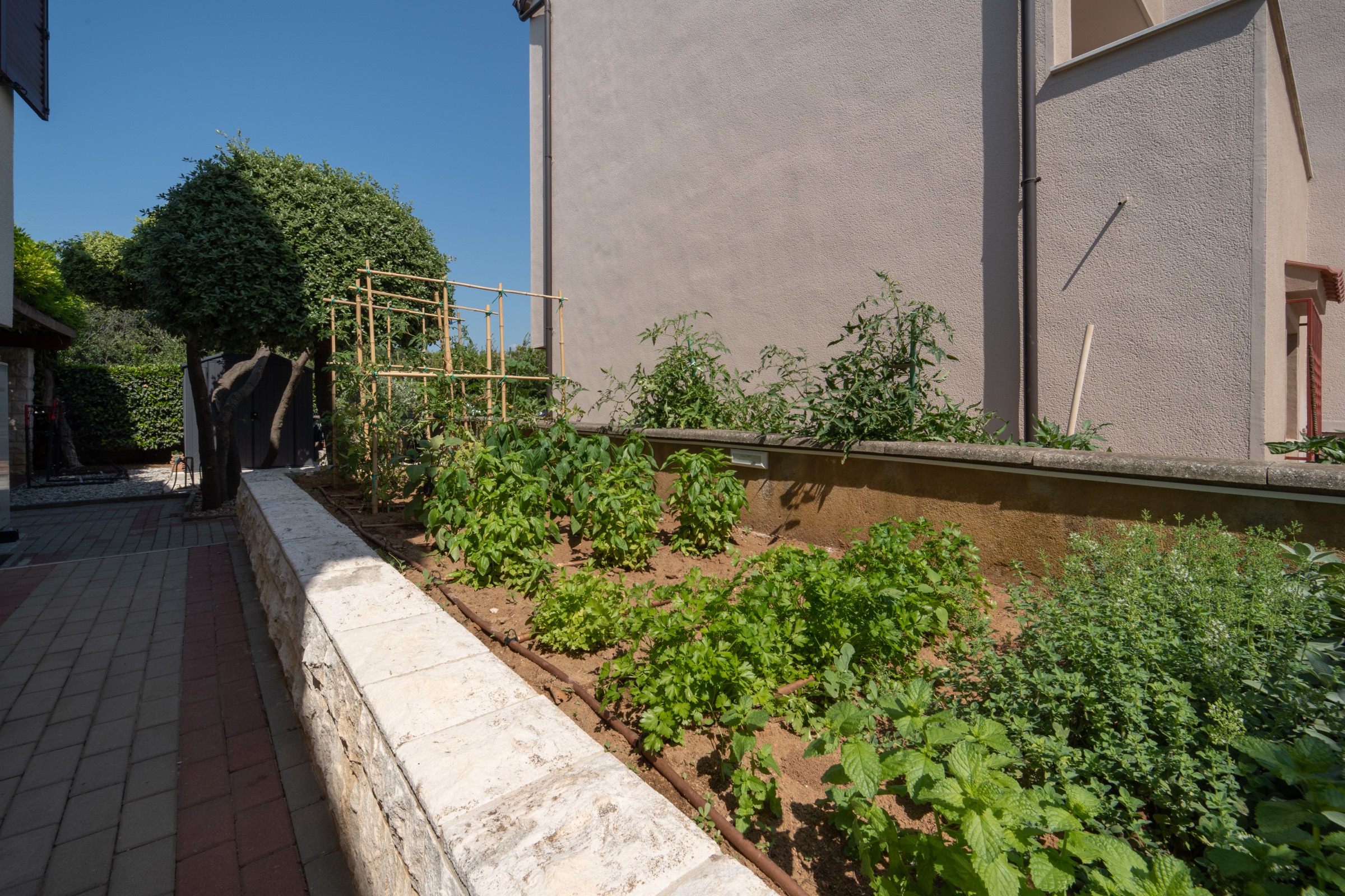 Tomatoes, peppers and herbs growing in Villa Lostura’s kitchen garden