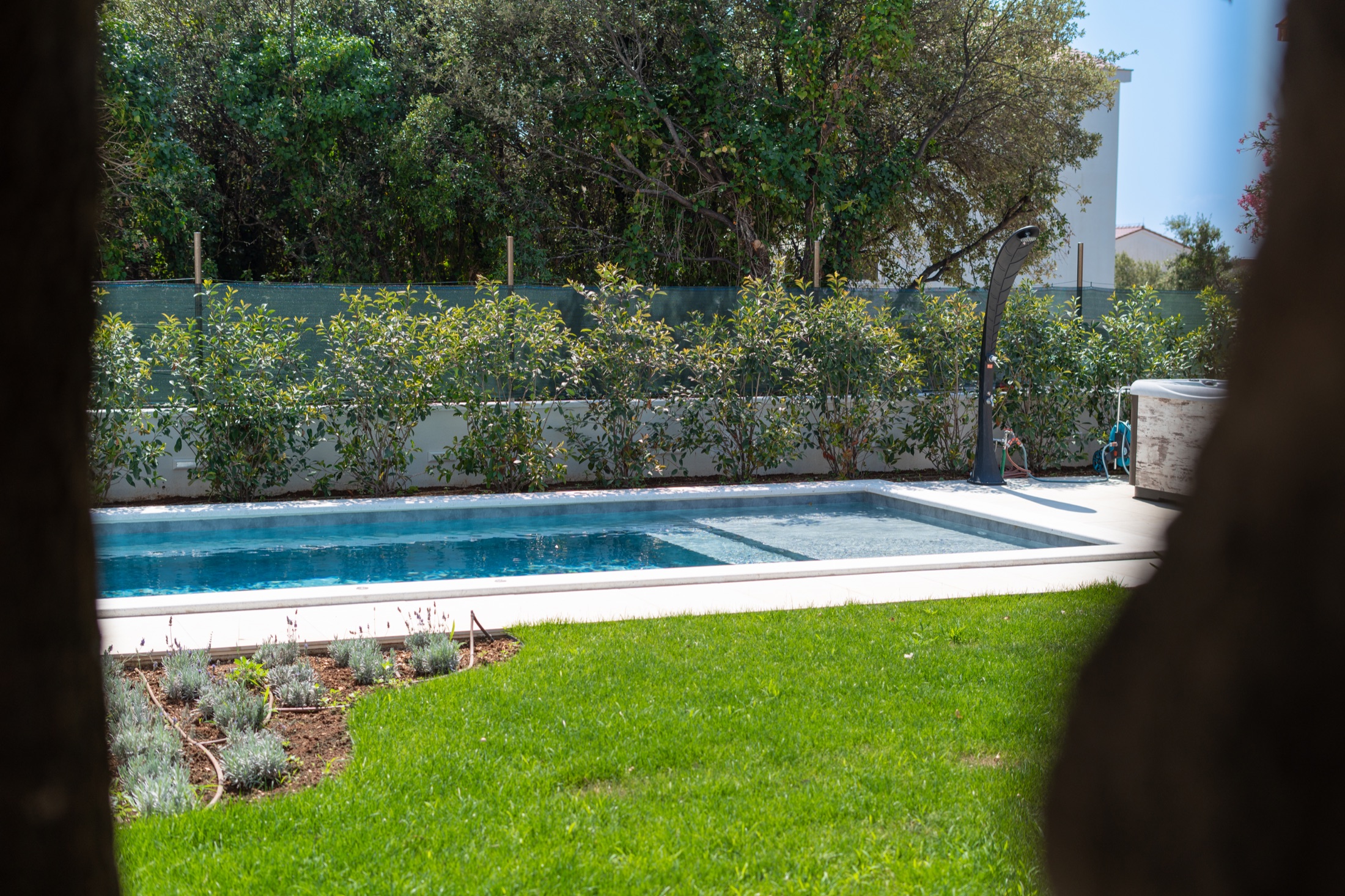 Villa Lostura's private pool surrounded by lawn and greenery